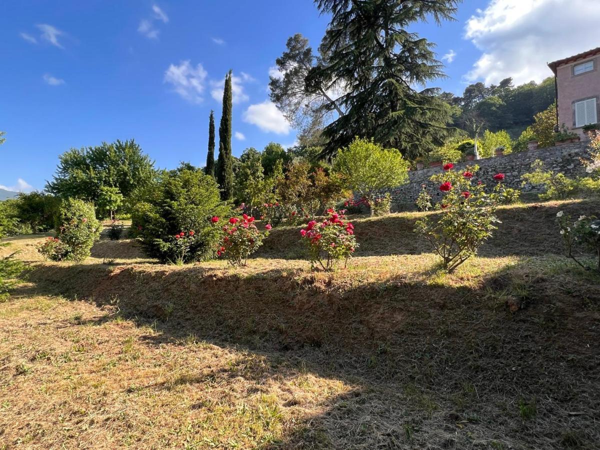 Borgo Al Canto Degli Alberi Lucca Exterior foto